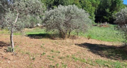 Ventabren Terrain à bâtir - 2491285-11041annonce320260421huRxT.jpeg Maisons Open