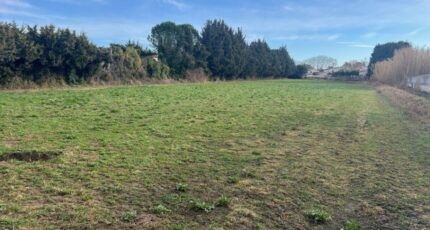 Fontvieille Terrain à bâtir - 2491571-11073annonce320260422Rz4fi.jpeg Maisons Open