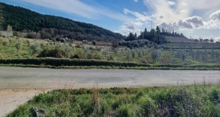 Bize-Minervois Terrain à bâtir - 2491717-10986annonce1202604229VpPN.jpeg Maisons Open