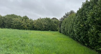 Loriol-sur-Drôme Terrain à bâtir - 2491437-6150annonce120240328rXWsQ.jpeg Maisons Open