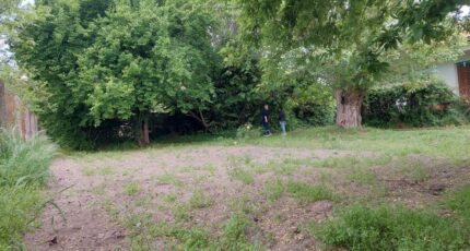 Launaguet Terrain à bâtir - 2491094-5604annonce2202604215e7ls.jpeg Maisons Open