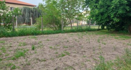 Launaguet Terrain à bâtir - 2491094-5604annonce52026042136eET.jpeg Maisons Open