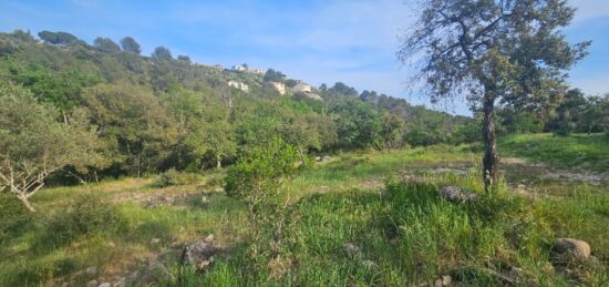 Terrain à bâtir à Roquefort-les-Pins, Provence-Alpes-Côte d'Azur