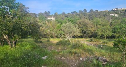 Roquefort-les-Pins Terrain à bâtir - 2491345-11719annonce320260422STNFR.jpeg Maisons Open