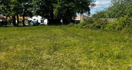 La Garnache Terrain à bâtir - 2491540-11854annonce120260422OmyvU.jpeg Maisons Open