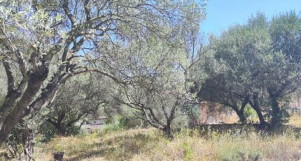 Pignans Terrain à bâtir - 2492298-11039annonce120260422x0qbN.jpeg Maisons Open