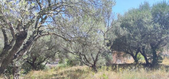 Terrain à bâtir à Pignans, Provence-Alpes-Côte d'Azur
