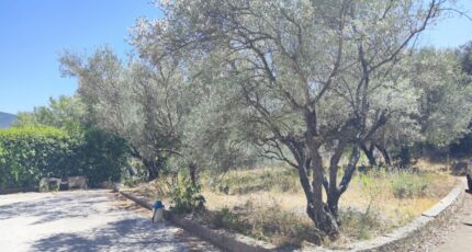 Pignans Terrain à bâtir - 2492298-11039annonce3202604221Mqms.jpeg Maisons Open