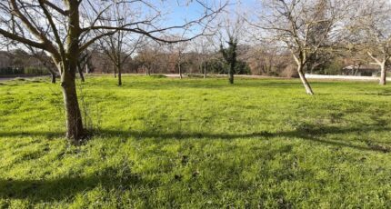 La Motte Terrain à bâtir - 2492185-10295annonce120260422ult7W.jpeg Maisons Open