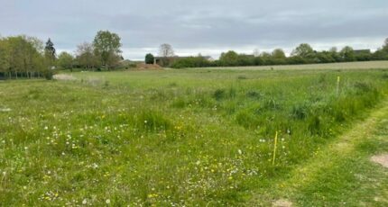 Coltainville Terrain à bâtir - 2491979-10924annonce120260422mAPrI.jpeg Maisons Open