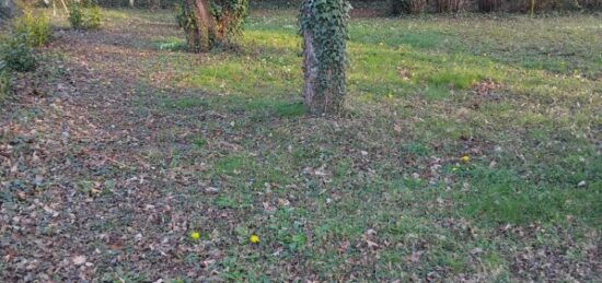 Terrain à bâtir à , Yvelines