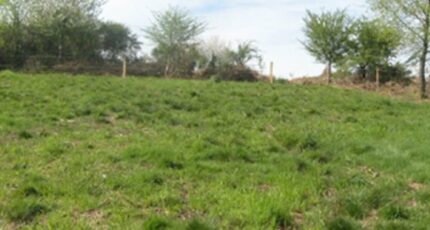 Auneau Terrain à bâtir - 2491638-11790annonce220260422IK5qX.jpeg Maisons Open