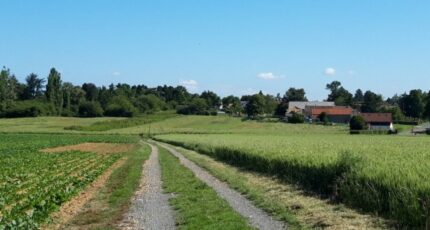 Boullay-les-Troux Terrain à bâtir - 2492134-11790annonce120260422I6u20.jpeg Maisons Open