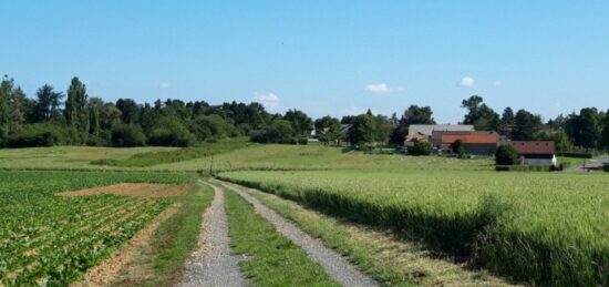 Terrain à bâtir à Boullay-les-Troux, Île-de-France