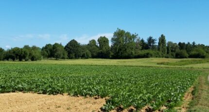 Boullay-les-Troux Terrain à bâtir - 2492134-11790annonce220260422wog4v.jpeg Maisons Open