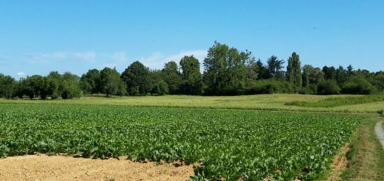 Terrain à bâtir à , Essonne