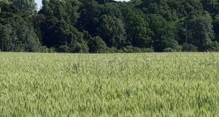 Boullay-les-Troux Terrain à bâtir - 2492134-11790annonce3202604228TMIM.jpeg Maisons Open