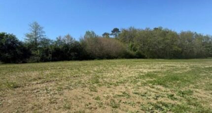 Monestier Terrain à bâtir - 2492141-11709annonce320260422RtF4Q.jpeg Maisons Open