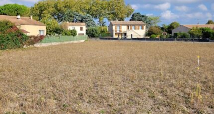 Alzonne Terrain à bâtir - 2492540-10986annonce120260423NowPL.jpeg Maisons Open