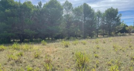 Berriac Terrain à bâtir - 2492571-11456annonce120260423DHdHU.jpeg Maisons Open