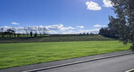 Carcassonne Terrain à bâtir - 2492580-10986annonce120260423o0qFF.jpeg Maisons Open