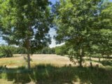  2462682-11570annonce120260320BOPk9.jpeg Maisons Open