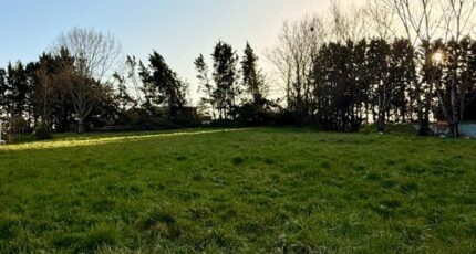 Saint-Nexans Terrain à bâtir - 2492609-11709annonce3202604231fS5o.jpeg Maisons Open