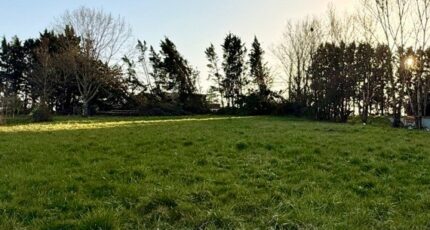 Saint-Nexans Terrain à bâtir - 2492609-11709annonce420260423VXktz.jpeg Maisons Open