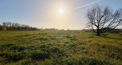 Lamonzie-Saint-Martin Terrain à bâtir - 2492663-11709annonce2202604236NA86.jpeg Maisons Open