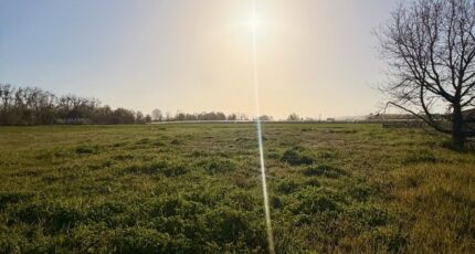 Lamonzie-Saint-Martin Terrain à bâtir - 2492663-11709annonce420260423XposP.jpeg Maisons Open