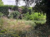  2437759-11688annonce120260223xI7gc.jpeg Maisons Open