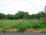  2437862-11688annonce120260223EQiga.jpeg Maisons Open