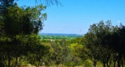 Comps Terrain à bâtir - 2401696-617annonce120260122CrCgi.jpeg Maisons Open