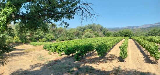Terrain à bâtir à Cogolin, Provence-Alpes-Côte d'Azur