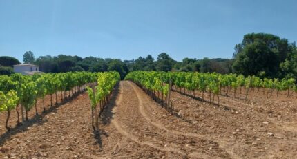 Cogolin Terrain à bâtir - 2492449-11157annonce220260423Wwqmd.jpeg Maisons Open