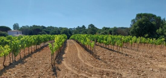 Terrain à bâtir à , Var
