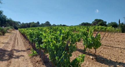 Cogolin Terrain à bâtir - 2492449-11157annonce320260423sRmFH.jpeg Maisons Open