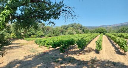 Cogolin Terrain à bâtir - 2492449-11157annonce420260423G6AOZ.jpeg Maisons Open