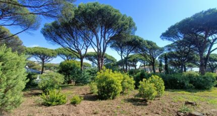 Sainte-Maxime Terrain à bâtir - 2492895-9911annonce220260423G61GM.jpeg Maisons Open