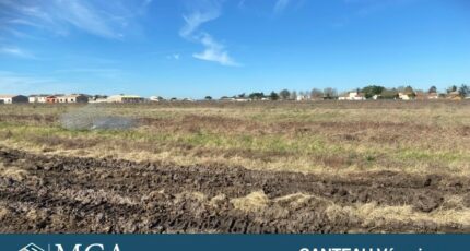 Saint-Georges-de-Didonne Terrain à bâtir - 2462752-11163annonce1202603202T42Z.jpeg Maisons Open