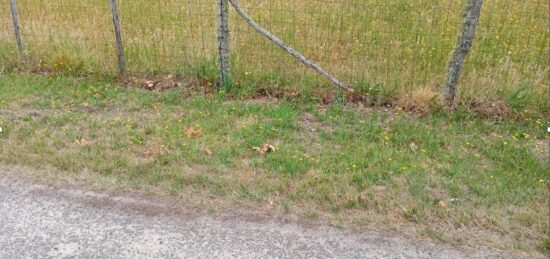 Terrain à bâtir à Biganos, Nouvelle-Aquitaine