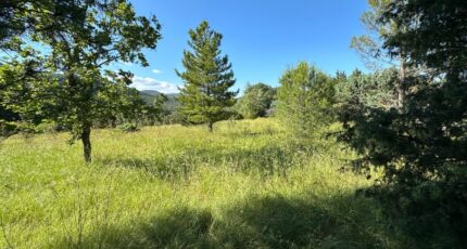 Le Teil Terrain à bâtir - 2408667-812annonce120260127s6hJh.jpeg Maisons Open