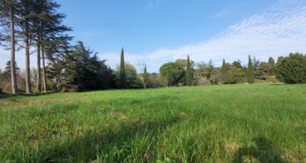 Allan Terrain à bâtir - 2431363-812annonce420241106Z61ZM.jpeg Maisons Open