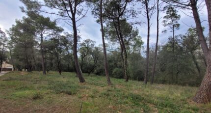 Suze-la-Rousse Terrain à bâtir - 2464538-812annonce120250618BIJla.jpeg Maisons Open