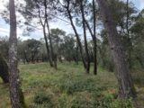  2464538-812annonce320250618GpJU9.jpeg Maisons Open
