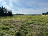  2464563-812annonce220251103rKQo7.jpeg Maisons Open