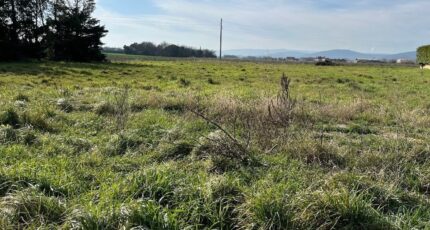 Cléon-d'Andran Terrain à bâtir - 2464563-812annonce320251103cbbDV.jpeg Maisons Open