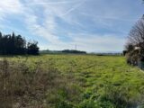  2464563-812annonce4202511032tVzs.jpeg Maisons Open