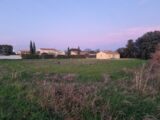  2465041-812annonce220241105WJ6Gi.jpeg Maisons Open