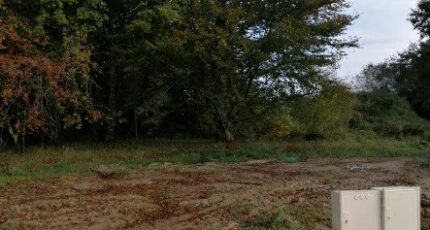 Ambarès-et-Lagrave Terrain à bâtir - 2493156-11016annonce120260424k4xDr.jpeg Maisons Open